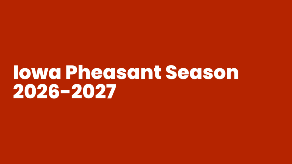 Iowa Pheasant Season 2026 Opening Dates, Hours, and Field Tips​