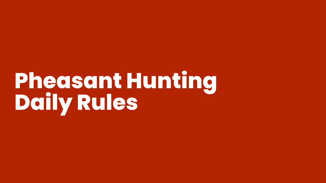 Iowa Pheasant Hunting Bag Limits, Laws & Daily Rules Explained