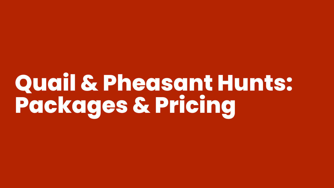 Quail & Pheasant Hunts in Iowa​