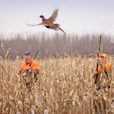 39475a5178a09501b0ebc780c2fc7337